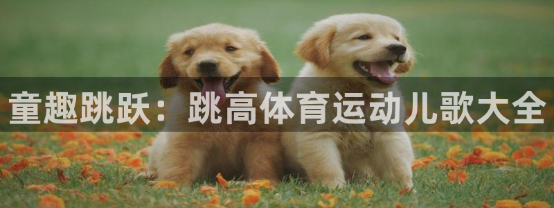 678体育官网下载