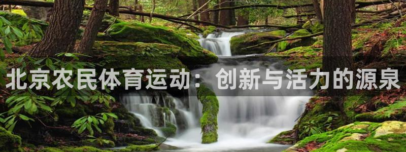 678体育知识