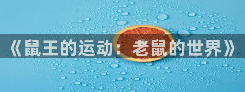 678体育知识