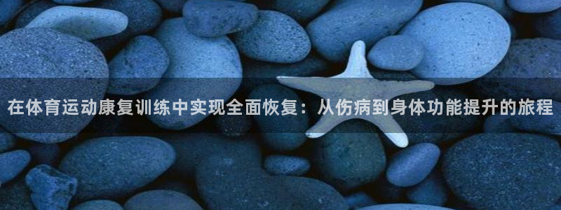 678体育app