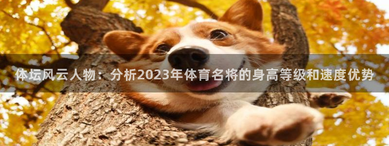 678体育官网