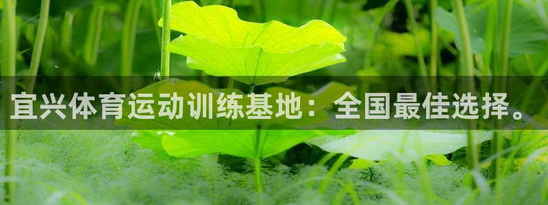 皇冠678体育