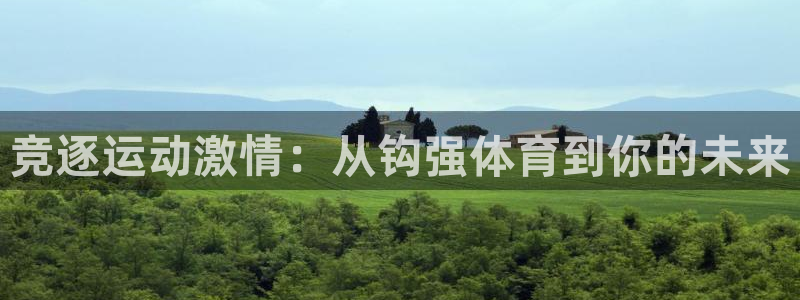 678体育官网